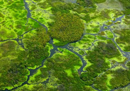 Okavango Delta von o_4_3.jpg